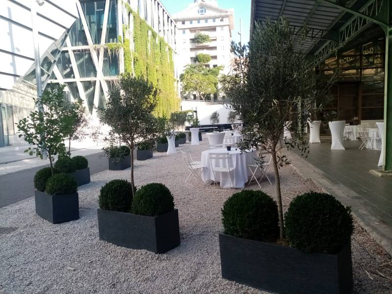 Clorofil events livrent les plantes en location dans la région PACA.