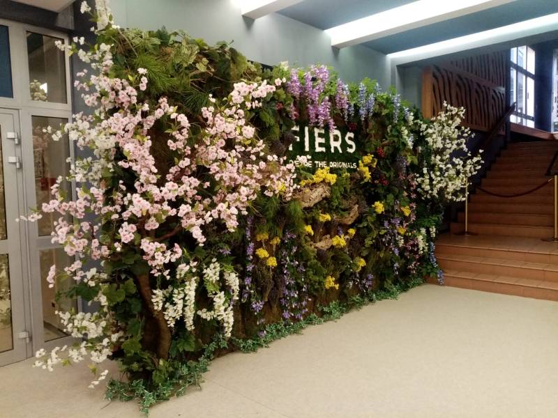 Cerisier et amandier en fleurs et mur de fleurs en location