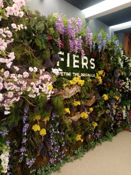 Les glycines mauves, bleues et blanches entourent le mur de fleurs.