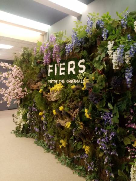 Location de mur végétal sur mesure ici en 5 mètres sur 2.50 m.