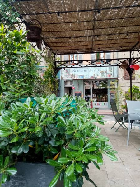 Les pittospores à fleurs odorantes garnissent les jardinières avec des lauriers sauce.