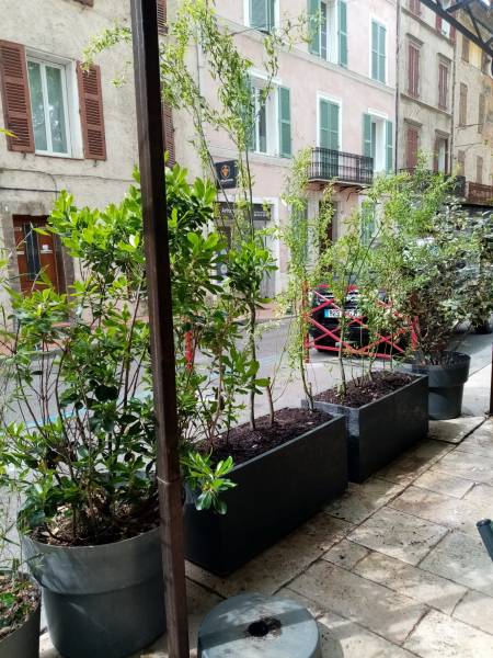 Clorofil events dispose d'une large collection de pots et de jardinières à la vente pour réaliser de belle terrasse vertes et fleuries en Provence.