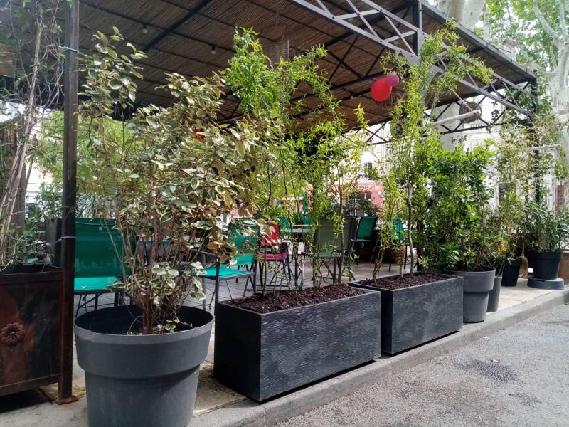 Les formes naturelles des plantes sont choisies dans cette terrasse pour procurer une ambiance campagnarde.