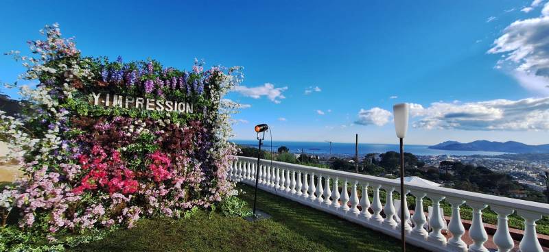 Création d'un mur de fleurs clorofil events pour le Festival de Cannes 2024.