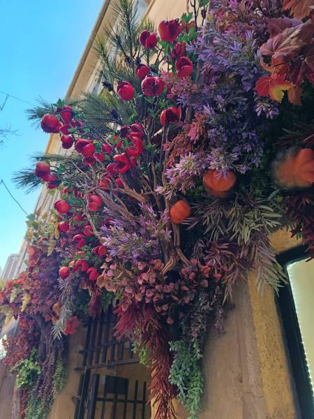 Elea à Aix en Provence décor d'automne en location pour 6 mois
