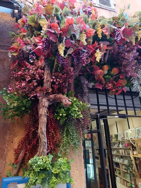 Vigne artificielle sur mesure pour cette belle façade de magasin à Aix en Provence.