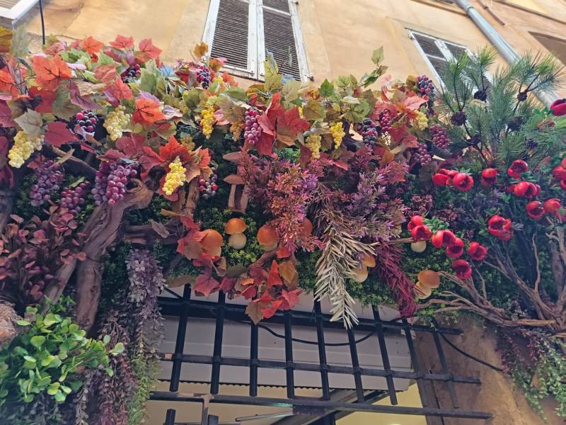 Feuillages de vignes, de pin, d'érable, de grenades en location.