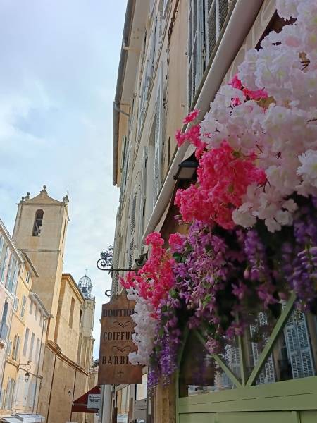Le but de la décoration florale de façade de restaurant est principalement de se démarquer des autres commerces d'Aix en Provence.
