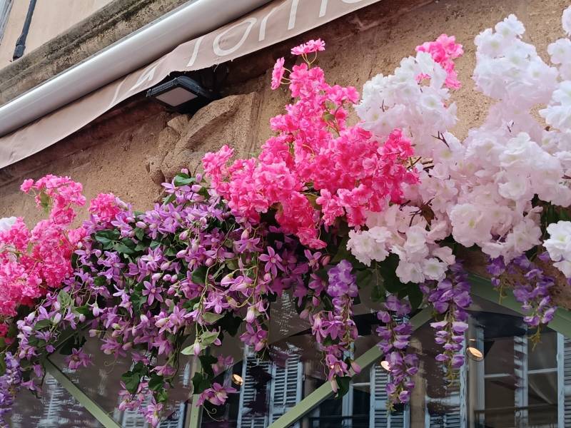 Les fleurs sont regroupées en grappes retombantes pour orner cette belle façade de restaurant.
