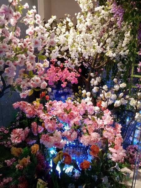 Tous les niveaux du panorama captent l'attention du public.