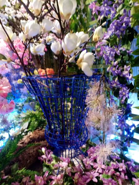 Le magnolia blanc pousse dans la corbeille bleu.