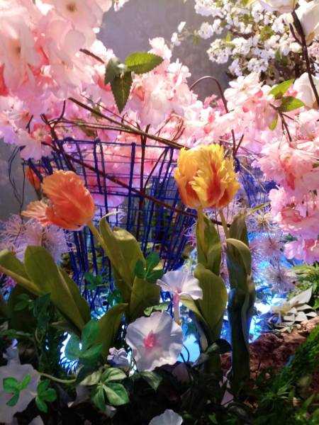 Joli mariage de tulipe perroquet et azalée en fleurs.