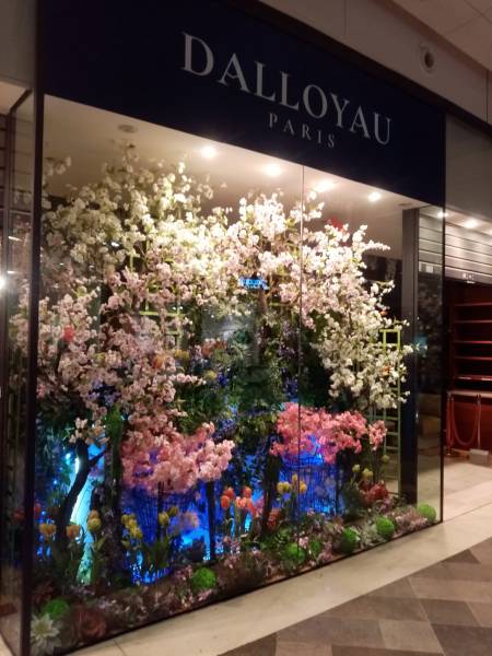 Dalloyau Marseille a confié sa décoration de vitrine de son restaurant éphèmère à Clorofil events le temps des travaux de son nouveau restaurant.