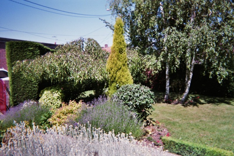 création de jardin espace vert à Draguignan et Salernes