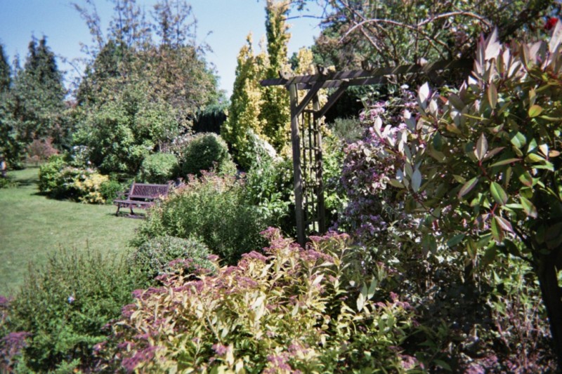 création de jardin espace vert à Draguignan et Salernes