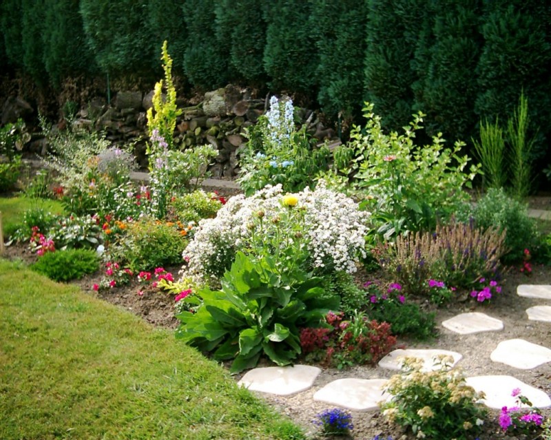 création de jardin espace vert à Draguignan et Salernes