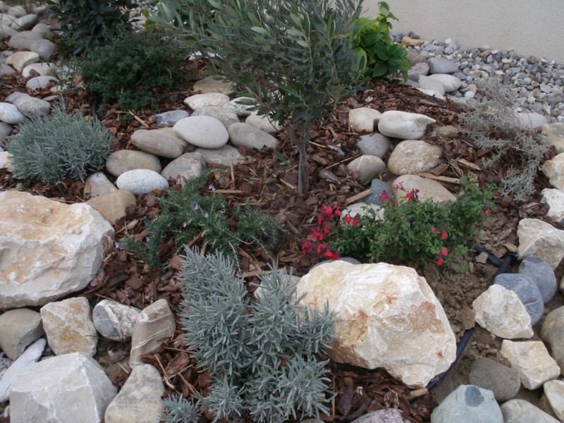 création de jardin espace vert à Salernes et Draguignan