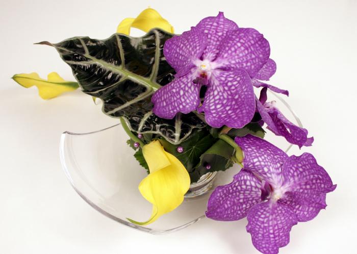 DECORATEUR FLORAL MARIAGE COMMUNION AIX EN PROVENCE PACA AVIGNON CAVAILLON TARASCON ARLES