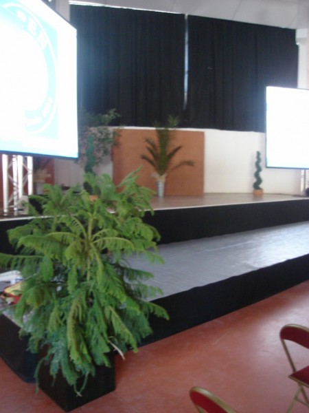 LOCATION DE PLANTES EVENEMENTS  PACA MARSEILLE VAUCLUSES ALPES DE HAUTES PROVENCE VAR