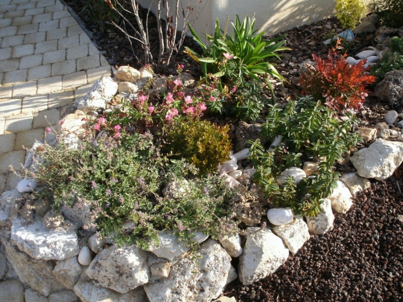 création de jardin espace vert paysagiste Salernes Draguignan  paca