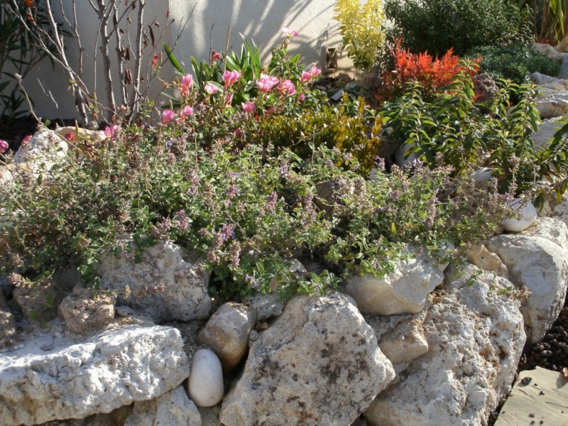 création de jardin espace vert paysagiste Salernes Draguignan  paca