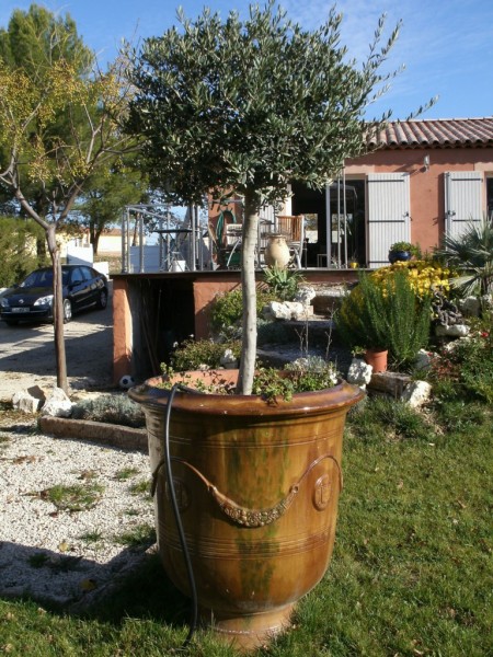 création de jardin espace vert paysagiste à Salernes et Draguignan