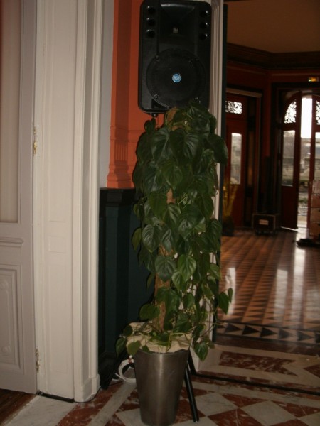 Location de création florale et plante en pot pour conférence, salon, exposition en Avignon