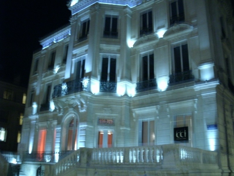 Location de création florale et plante en pot pour conférence, salon, exposition en Avignon