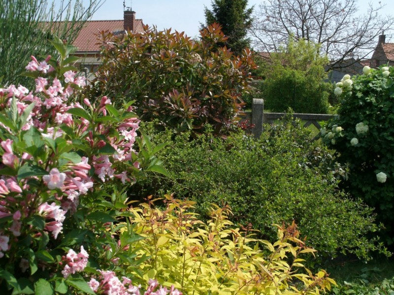 création de jardin espace vert paysagiste avignon salon de provence aix en provence paca