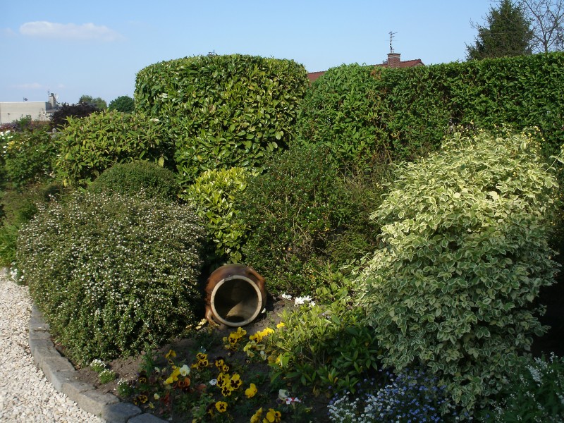 création de jardin espace vert paysagiste avignon salon de provence aix en provence paca