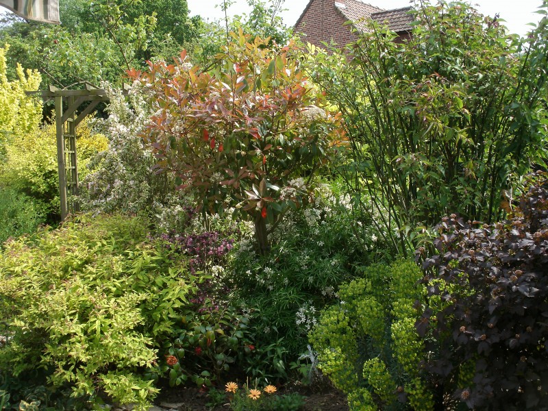 création de jardin espace vert paysagiste avignon salon de provence aix en provence paca