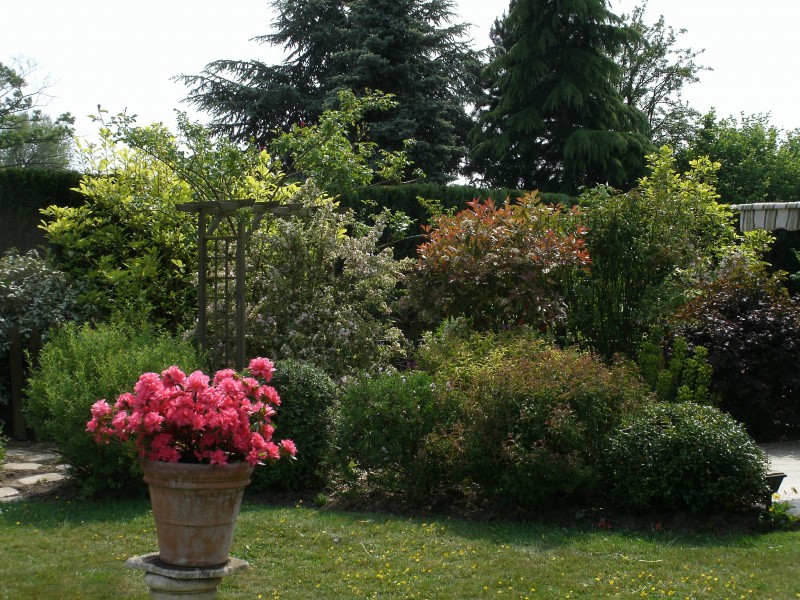 création de jardin espace vert paysagiste avignon salon de provence aix en provence paca