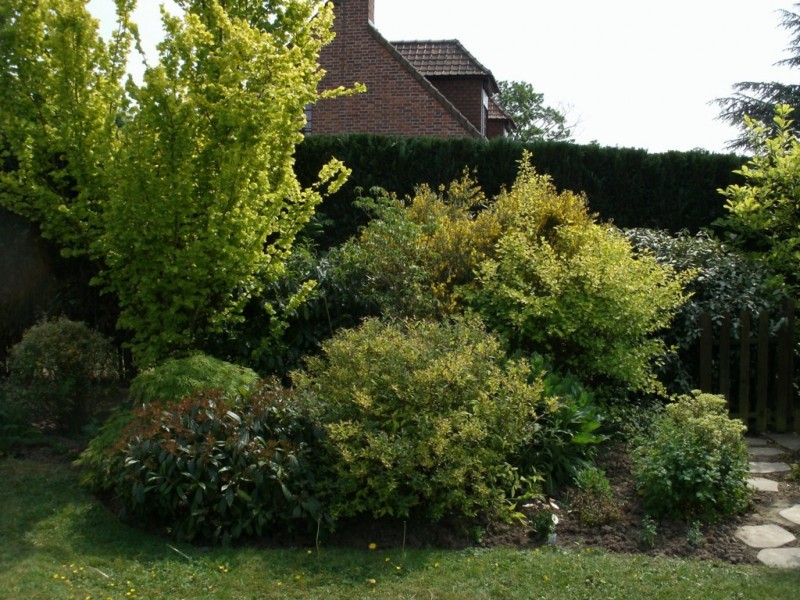 création de jardin espace vert paysagiste avignon salon de provence aix en provence paca