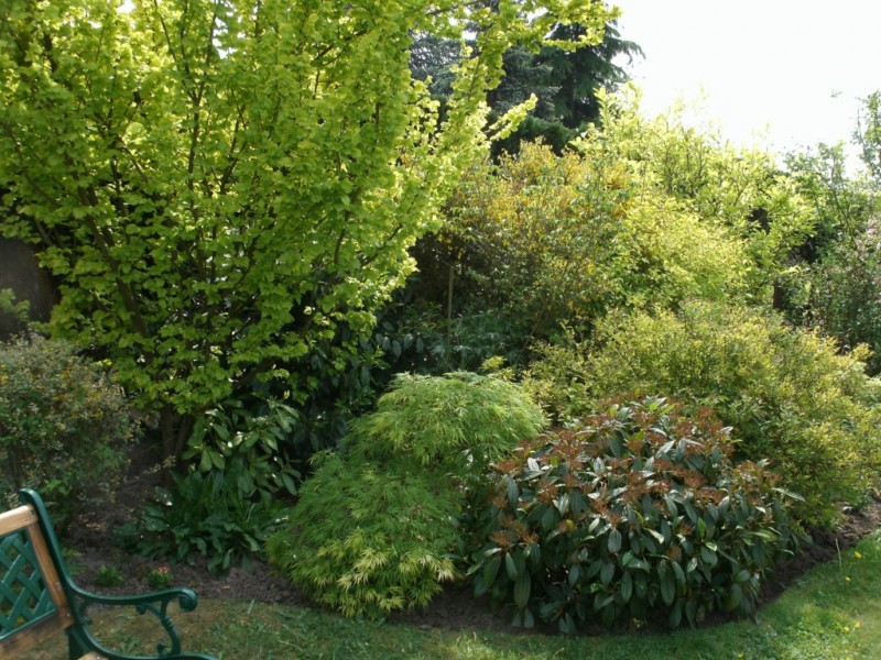 création de jardin espace vert paysagiste avignon salon de provence aix en provence paca