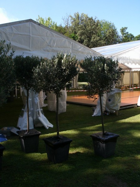 CHATEAU HOTEL ****  SAINT REMY DE PROVENCE DECOR CHAPITEAU  MARIAGE VAUCLUSE PACA ALPES MARITIMES