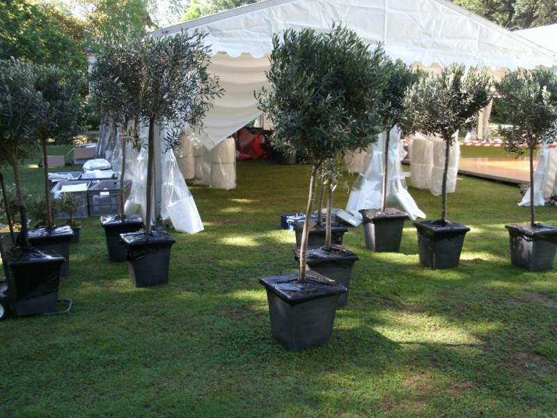 CHATEAU HOTEL ****  SAINT REMY DE PROVENCE DECOR CHAPITEAU  MARIAGE VAUCLUSE PACA ALPES MARITIMES