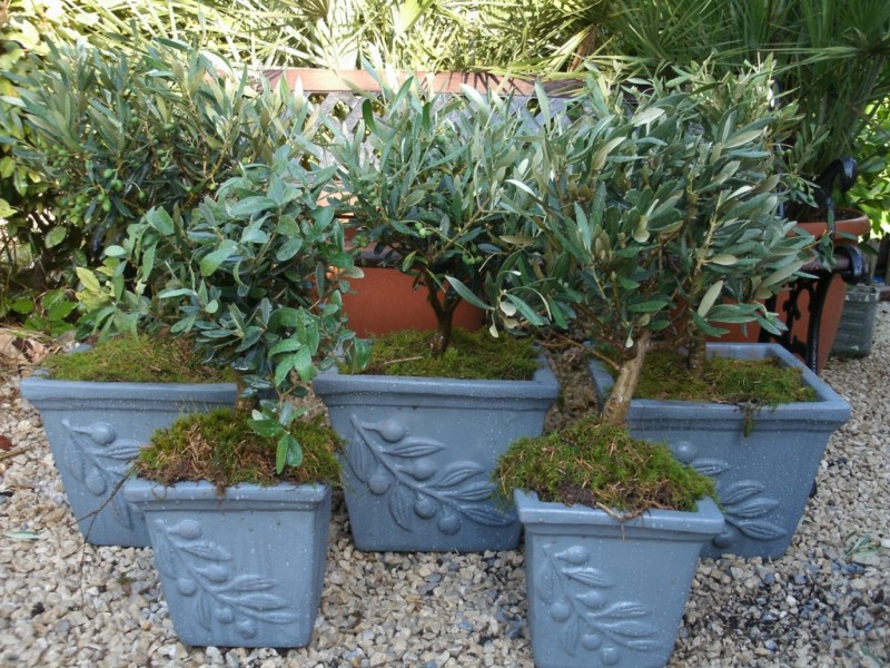 CHATEAU HOTEL ****  SAINT REMY DE PROVENCE DECOR CHAPITEAU  MARIAGE VAUCLUSE PACA ALPES MARITIMES