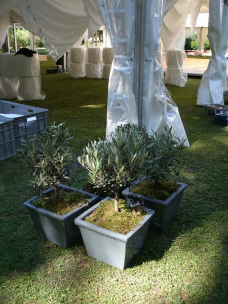 CHATEAU HOTEL ****  SAINT REMY DE PROVENCE DECOR CHAPITEAU  MARIAGE VAUCLUSE PACA ALPES MARITIMES