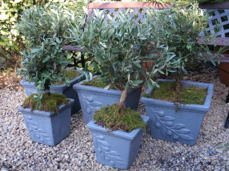 CHATEAU HOTEL ****  SAINT REMY DE PROVENCE DECOR CHAPITEAU  MARIAGE VAUCLUSE PACA ALPES MARITIMES