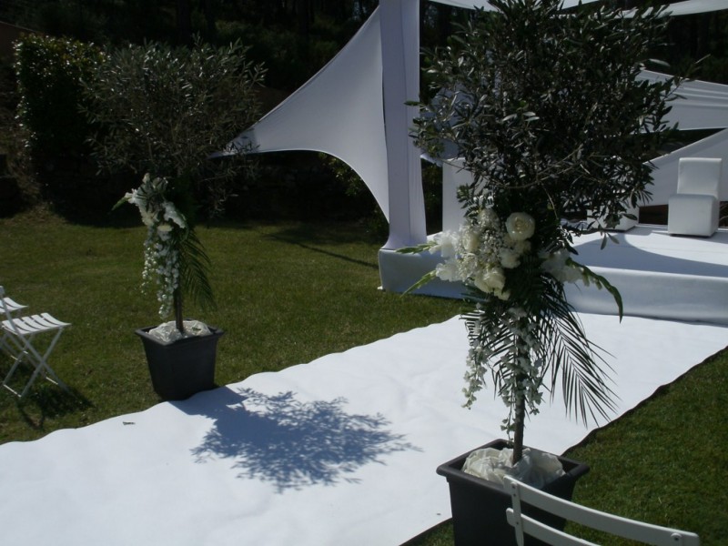 ALLEE NUPTIALE  MARIAGE AIX MARSEILLE AUBAGNE SALON DE PROVENCE REGIONPACA