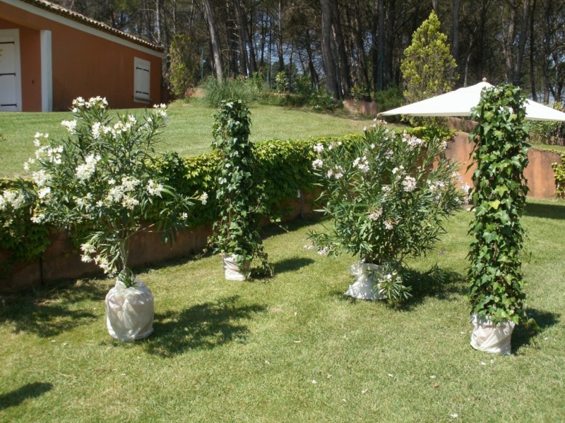 Décoration végétale florale Mariage en Pays d'Aix Marseille PACA Rhônes Alpes