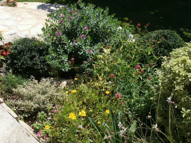 création de jardin espace vert paysagiste avignon salon de provence aix en provence paca