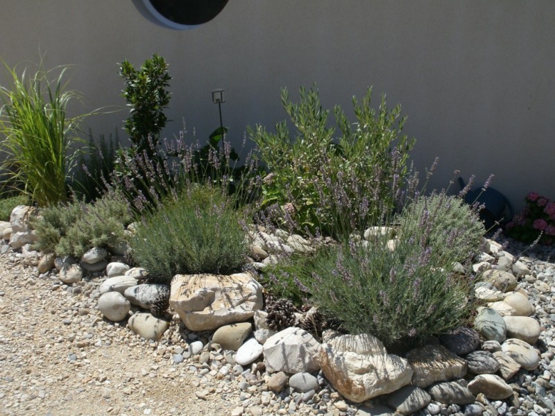 création de jardin espace vert paysagiste avignon salon de provence aix en provence paca