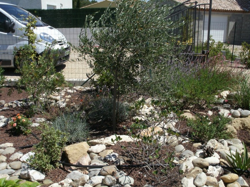 création de jardin espace vert paysagiste avignon salon de provence aix en provence paca