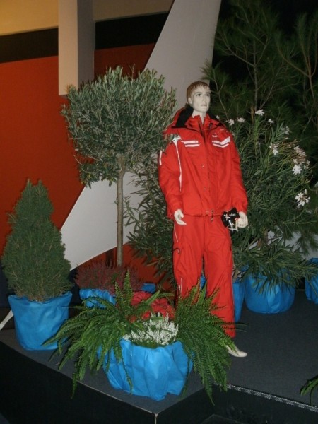 Location de plantes et pots décoratifs de scène, défilé, création de décor à thème