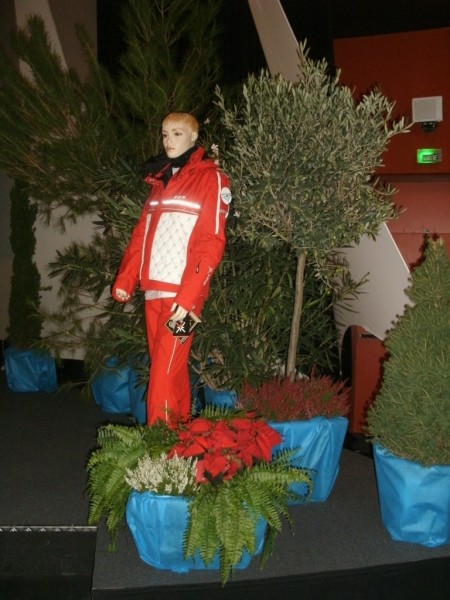 Location de plantes et pots décoratifs de scène, défilé, création de décor à thème