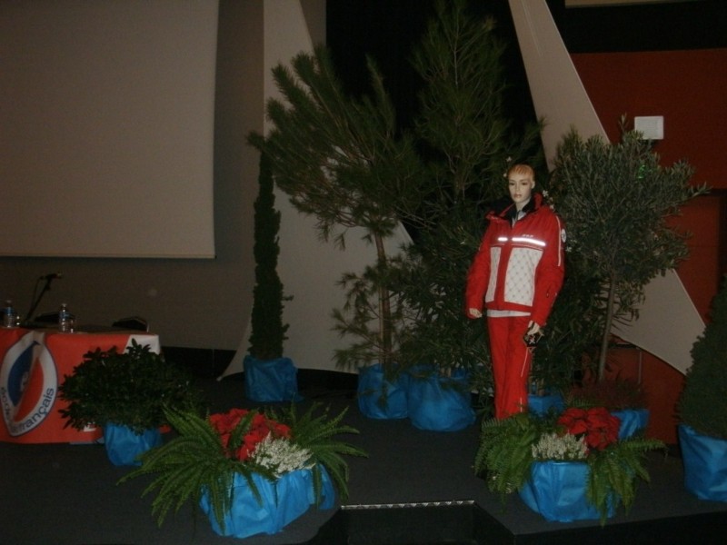 Location de plantes et pots décoratifs de scène, défilé, création de décor à thème