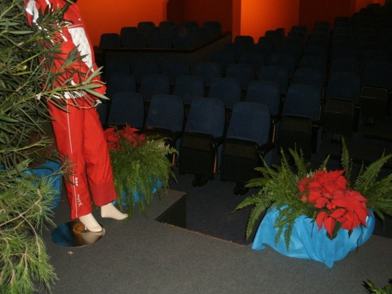 Location de plantes et pots décoratifs de scène, défilé, création de décor à thème