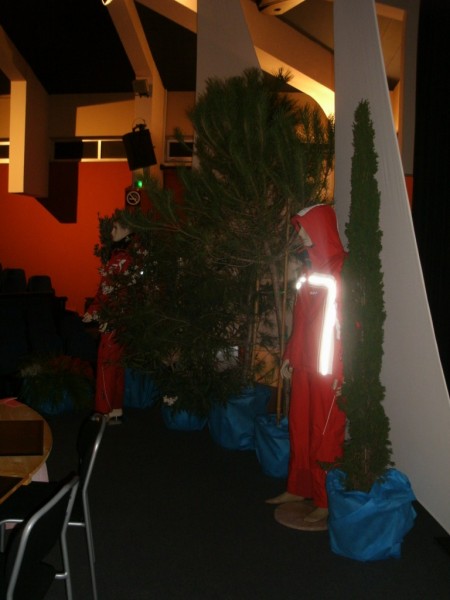 Location de plantes et pots décoratifs de scène, défilé, création de décor à thème