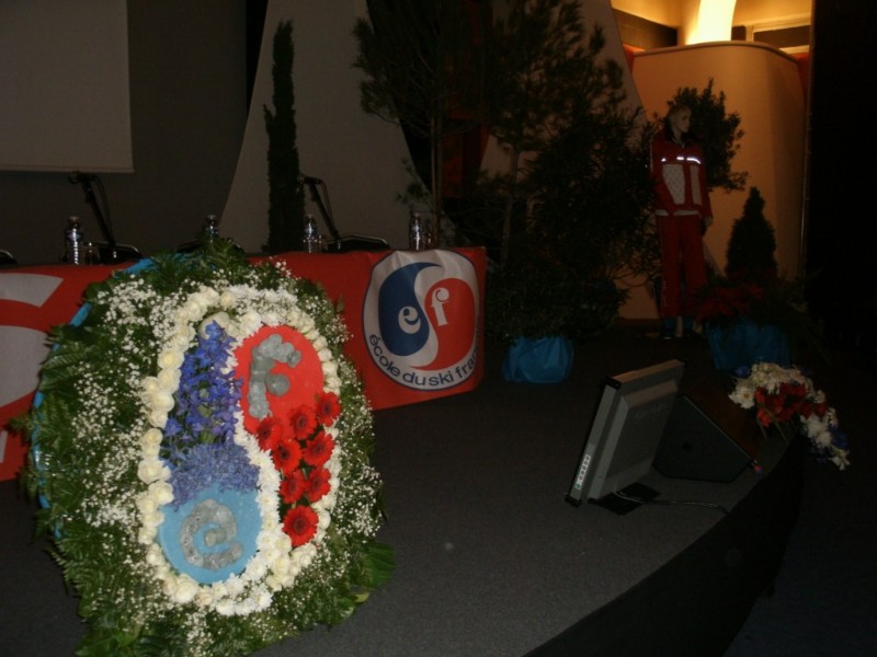 Location de plantes et pots décoratifs de scène, défilé, création de décor à thème